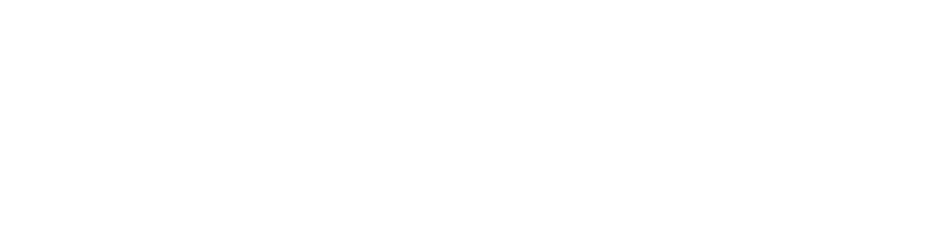 SolveSA — Impact Solutions
