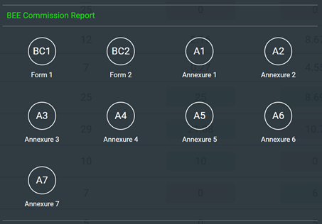 B-BBEE Commission report structure with forms and annexures